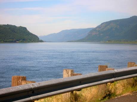 Ease and Flow. I took this picture roadside in Portland, Oregon. Patricica C. Coleman