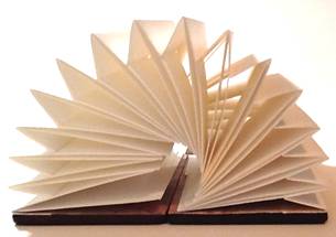 Accordian Flag Journal on its side.  Walnut covers, Patricia C. Coleman