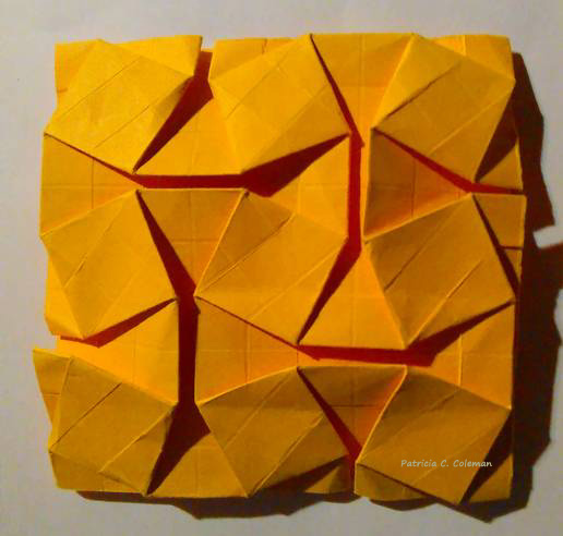 Square Weave Tesselation front folded by  Patricia C. Coleman, Eric Gjerde is the pleat designer.