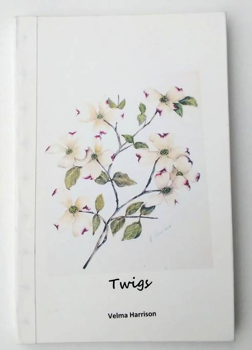 A life's reflection in stories, poetry, paintings and photographs Of V.H. by Patricia C. Coleman